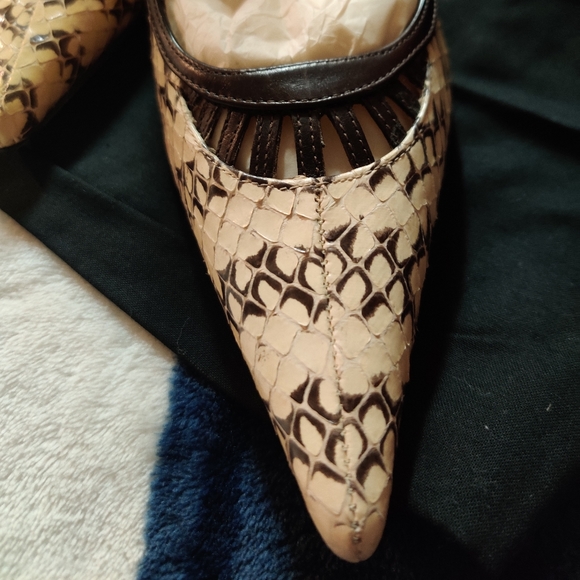 Dolce & Gabbana Snake and Leather Pumps💕 - Picture 3 of 8